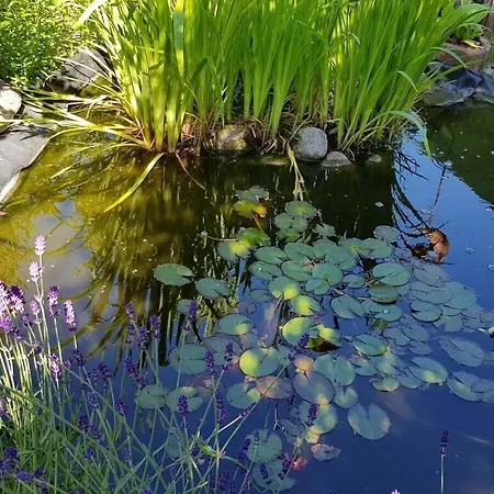 In Mueritz * Waren (Mueritz)