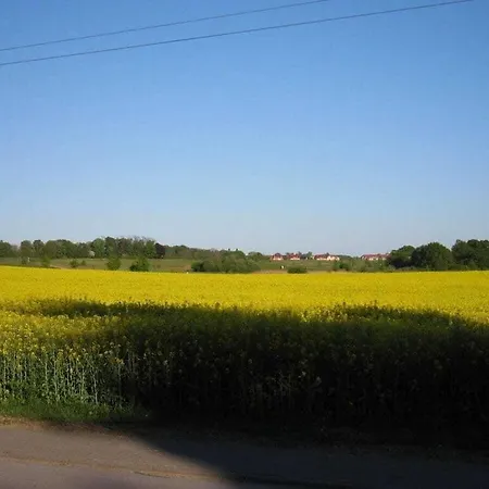 In Mueritz Holiday home Waren (Mueritz)